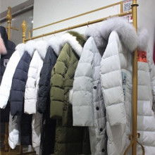 冬女裝蝙蝠價(jià)格 冬女裝蝙蝠公司 圖片 視頻