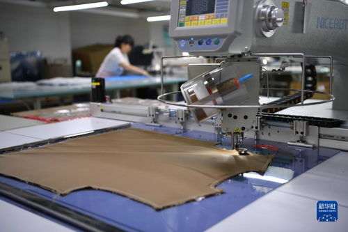 河北南宮 打造羊絨服裝服飾產(chǎn)業(yè)集群助力經(jīng)濟發(fā)展